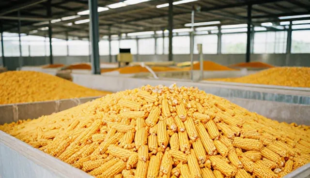 农业技术推广中的使用误区与维护建议